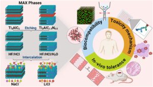 Toward Safer Biomedical Applications of MXenes: How Etching and Delamination Influence the Biocompatibility of Ti-Based MXenes