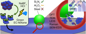 Electrochemically produced MXenes as environmentally sustainable solid lubricants: Mechanisms governing tribofilm development and interfacial interactions MXene-based solid lubricants