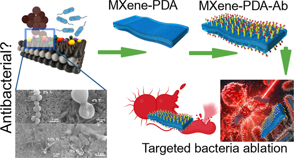 A comprehensive evaluation of the inherent antibacterial characteristics and photothermal therapy capabilities of MXene nanosheets
